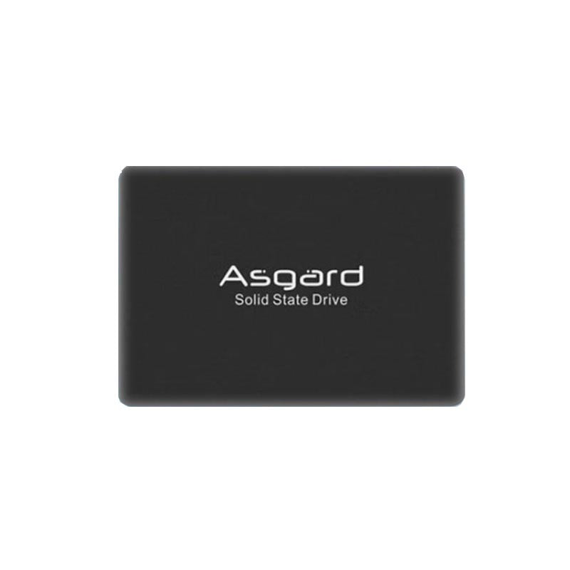 Asgard HEL 256GB/512GB/1TB SSD