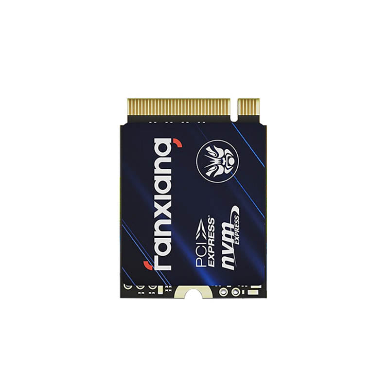 FANXIANG S532-1T NVMe PCIe 3.0 M.2 (2230) SSD