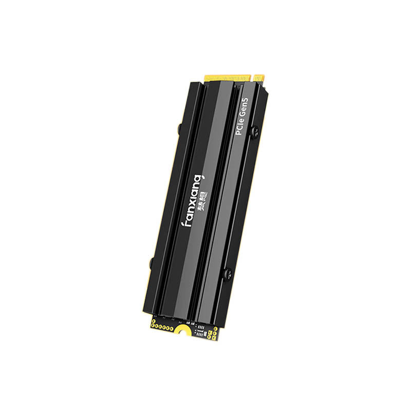 FANXIANG S900PRO 1TB/2TB NVMe PCIe 5.0 SSD