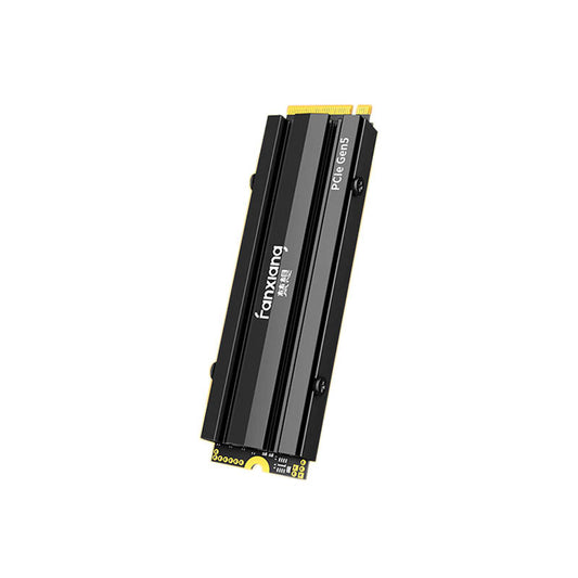 FANXIANG S900PRO 1TB/2TB NVMe PCIe 5.0 SSD
