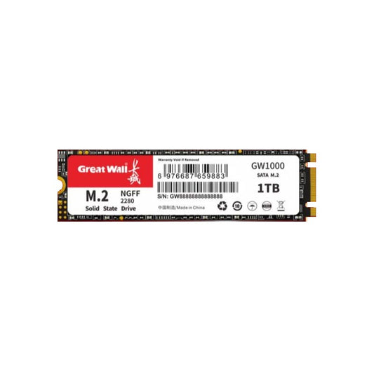 Great Wall GW1000 256GB/512GB/1TB SSD
