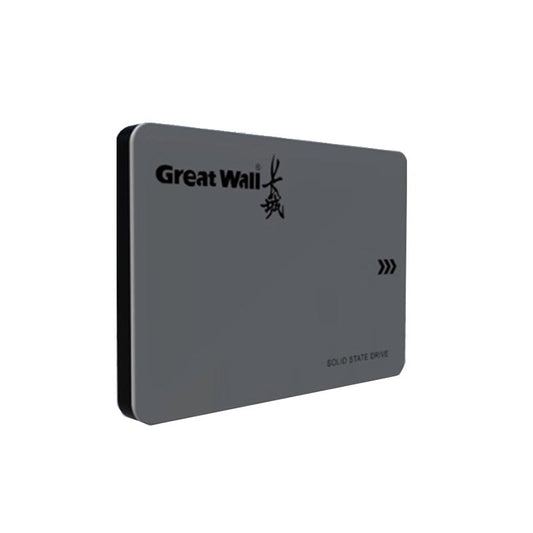 Great Wall GW560 128GB/256GB/1TB/2TB/4TB SSD